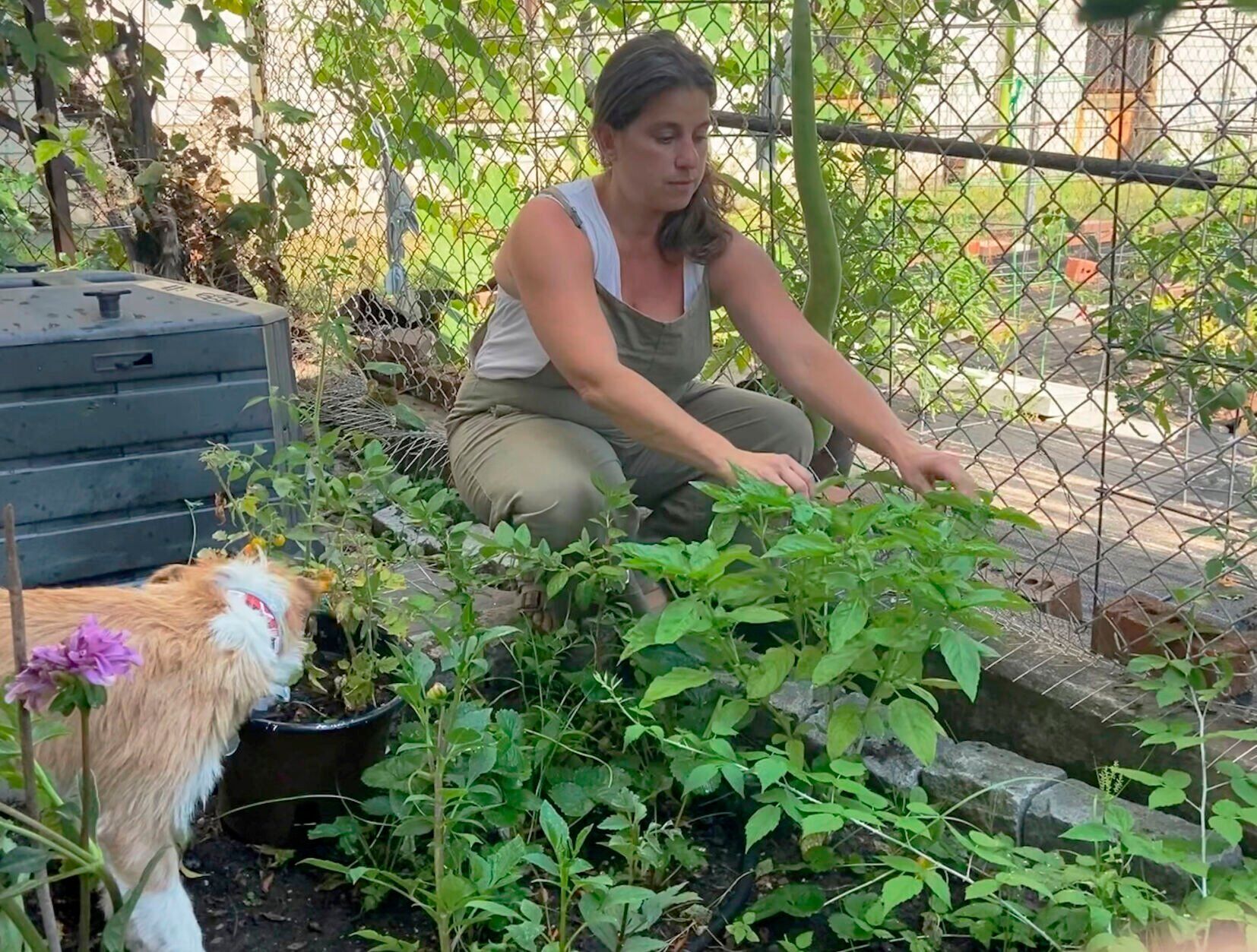Gardening-Vacation Sitters